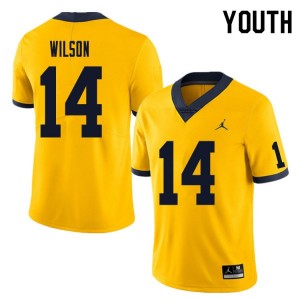 Brand Jordan Michigan Wolverines Roman Wilson #14 Yellow Youth(Kids) Limited Jersey
